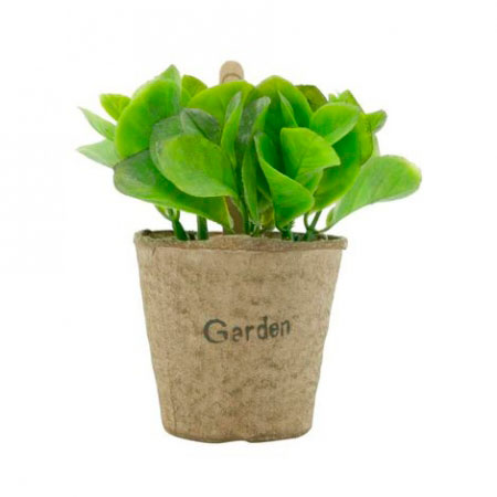 Mini Vaso Papel Bean Leaves Verde ampliada