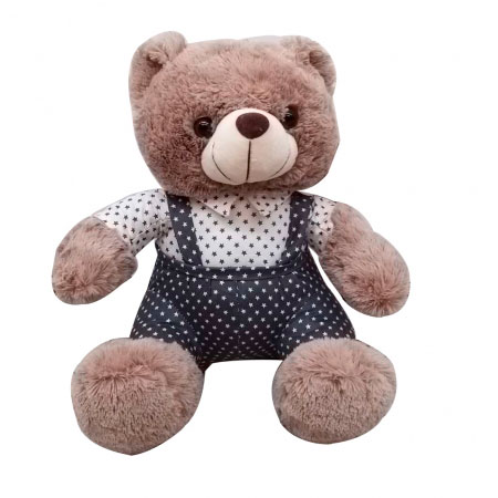 Urso Marrao com Roupa ampliada