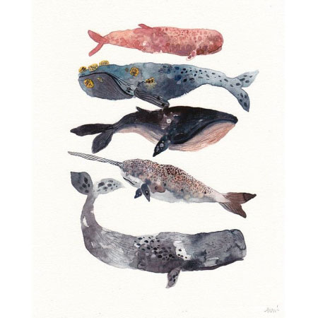 teste magic ampliada