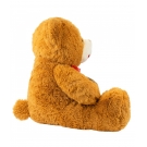 Urso Marrom Para AlguÃ©m Especial 60cm - PelÃºcia