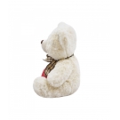 Urso Branco CoraÃ§Ã£o Te Amo 30cm - PelÃºcia