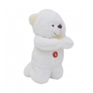 Urso LaÃ§o Amarelo Rezando Pai Nosso 28cm - PelÃºcia