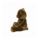 Urso Marrom Com LaÃ§o 35cm - PelÃºcia