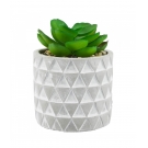 Vaso Cinza Cimento Planta Artificial Modelo B 8x6x6cm