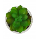 Vaso Cinza Cimento Planta Artificial Modelo B 8x6x6cm