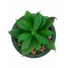 Vaso Verde Cimento Planta Artificial 8x6x6cm