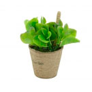 Mini Vaso Papel Bean Leaves Verde