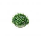 Plantas Artificiais Plástico Oval Leaf Saw Verde 
