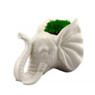 Cachepot parede ceramica animals head elephant-Branco