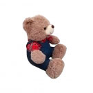 Urso Marrom Com Roupa Jeans