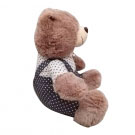 Urso Marrao com Roupa